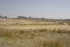 Parmalat-Warehouse-1-c